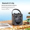 SANSUI D71 Portable Karaoke Bluetooth Speaker
