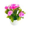 Potted Plant Lifelike Artificial Plastic Simulation Flowers Pot for Home