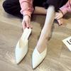 Fashion Low Heel Women's Slippers and Ladies Sandals Leather Job Mules Multi Color Slides Pointed Toe Shoes Elegant Fashionable Eva Chic