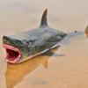 Handmad Sea Life Animals Model Plastic Simulated Shark Decorations  Desktop Decorative
