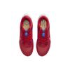 Nike Air Zoom Pegasus 40 Университетский Красный Синий Радость DV3853-600