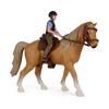 DIY Lifelike Horse Model Realistic Simulation Equestrian Figure  Universal