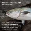 Daiwa Рыболовный стрингер 1000 Серебристый