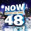 CD VARIOUS - Now That's What I Call Music 48 B001944002 Universal Music 2013 US Pop Used