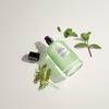 David Beckham Aromatic Greens Eau de Parfum For Him 100