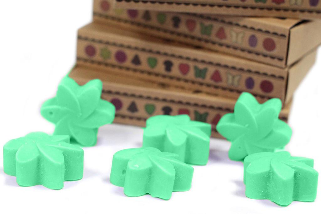2x Wax Melts Box - Hidden Garden