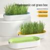 Hydroponic Cat Grass Set: Catnip Planting Box for Pet Snacks