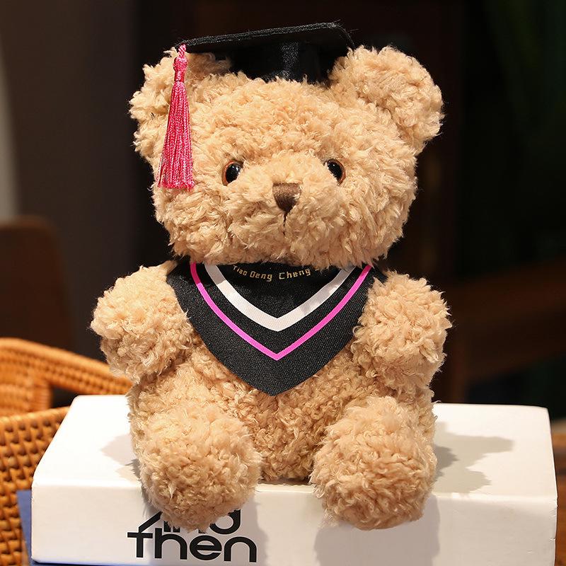 Doctor Graduation Teddy Bear Plush Toy with Hat, Customizable Logo