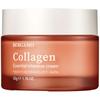 Collagen Essential Intensive Cream, 50 G - Firming Face Cream