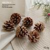 Natural Pine Cones, Logs, and Dried Fruits - Christmas Atmosphere Decoration Supplies