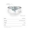 Irregular Line Rings 925 Sterling Silver Snake Metal Dazzling Geometric CZ Finger Rings For Women Fine Jewelry