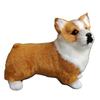 TOMMYFIELD Corgi Plush Toy Dog Figurine Realistic Miscellaneous Goods Desktop Decoration Interior (Yellow) [Used]
