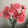 Свежесрезанные гвоздики для Дня учителя, Женского дня, семейных композиций и подарков на День богини.