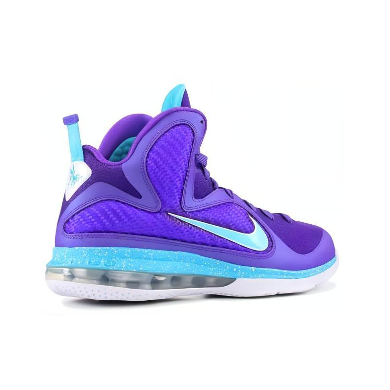 Nike Кроссовки LeBron 9 Summit Lake Hornets 469764-500