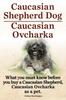 Книга Caucasian Shepherd Dog. Caucasian Ovcharka. What You Must Know Before You Buy a Caucasian Shepherd Dog, Caucasian Ovcharka As a Pet.