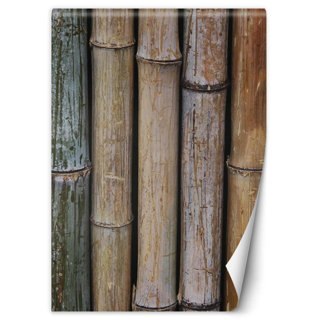 Обои Бамбуковая Стена Текстура Фон