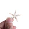 Conch Sea Shells for Aquatic Pet Starfish Fish Tank Decoration Aquarium Supplies Resin Casting