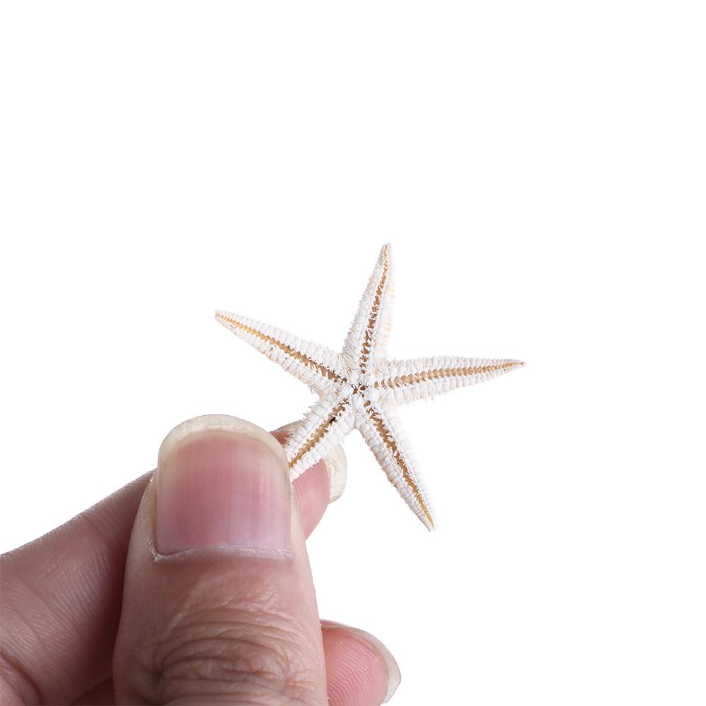 Conch Sea Shells for Aquatic Pet Starfish Fish Tank Decoration Aquarium Supplies Resin Casting