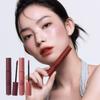 VELVET LIP TINT Velvet Lip Tint 4 G X 2