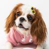 Pet Supplies Lovely Puppy Bows Sunglasses Hair Barrette Hairpins Hair Clips