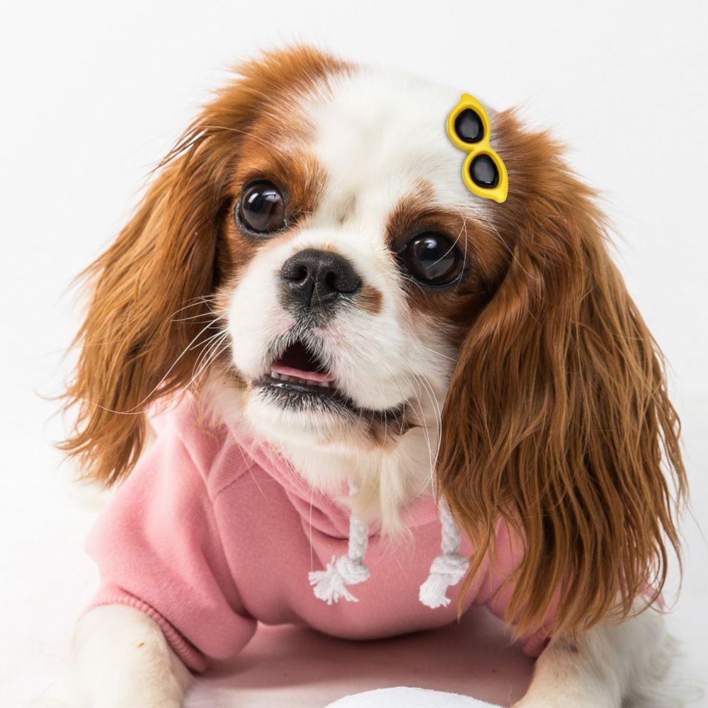 Pet Supplies Lovely Puppy Bows Sunglasses Hair Barrette Hairpins Hair Clips