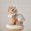 Soft Pet Summer Clothes Breathable Dog Vest Fashion Pet Princess Dress for Puppy Kittens