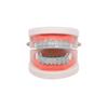 GoldPlated Brass Hip Hop False Teeth Set Halloween Festival Teeth Decoration Brace(Gold )