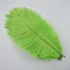 10Pcs/Lot 25-30Cm Ostrich Feathers For Crafts Party Decoration Jewelry Creation Natural Feather For Needlework And Handicrafts