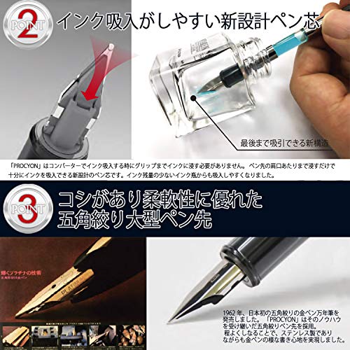 Platinum PNS-5000 25-2 Procyon #25 Fountain Pen, Persimmon Orange, Fine Point