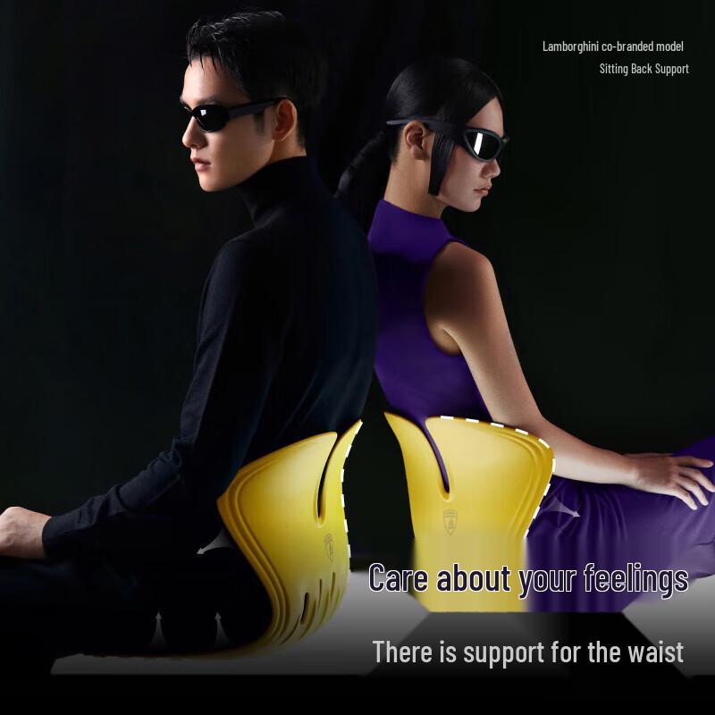 Zodian Lamborghini Ergonomic Lumbar Support Cushion