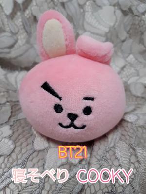 [Б/У] Брелок-плюш BT21 Cookie - Чонгук