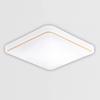 Yousheng LED Ceiling Lamp High Brightness Flicker Free Non-glare Eye Protection Classic Square Ceiling Light Indoor Lighting Fixture