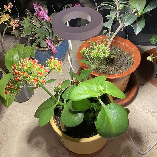 Светодиодный светильник для выращивания растений, полный спектр, энергоэффективный, широкий диапазон освещенности, светильник для растений, бонсай, цветов