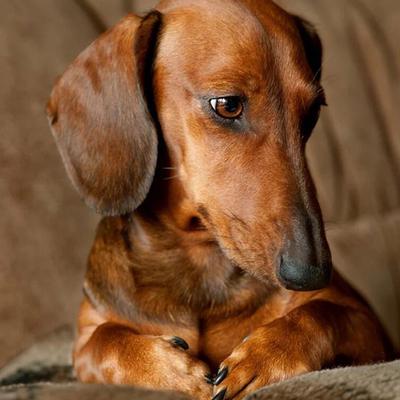 Бриллиантовая вышивка бисером