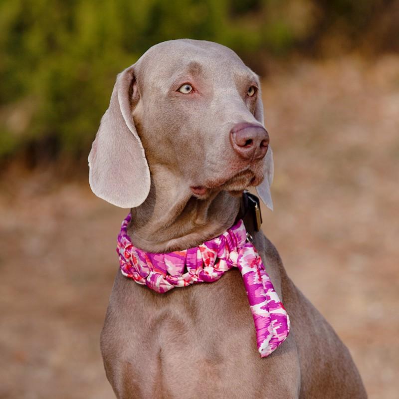 Dog Collar Leather Pet Medium Large Dogs Leash Set With Scarf Adjustable Sizes