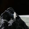 Цзянху Старые Друзья Рыцарь Смола Бонсай Пейзаж Миниатюрные Фигурки