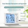 Термогигрометр Bluetooth для помещений и улицы, для дома, детской комнаты, промышленного использования, настенного монтажа для разведения домашних животных и измерения сухой/влажной температуры