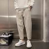 Мужские модные спортивные штаны Осень Зима Новый стиль Плюс бархат Утепленные На шнурке Свободные Прямые штаны Американские повседневные брюки