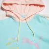Puma Толстовка с капюшоном и логотипом Florida Letter Print Color Block Drawstring, унисекс, светло-голубая 534005-62