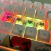 Gateron G Yellow Pro 3.0 3-контактный переключатель Pre-Lube RGB желто-красно-коричневая механическая клавиатура MX (108 предметов Pro 3.0 серебряный)