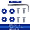 EVOLVERACING Anti-theft Bolt Set for License Plate Specific Vehicle Inspection (Blue Bolt Length 1.0 inches (25 mm)