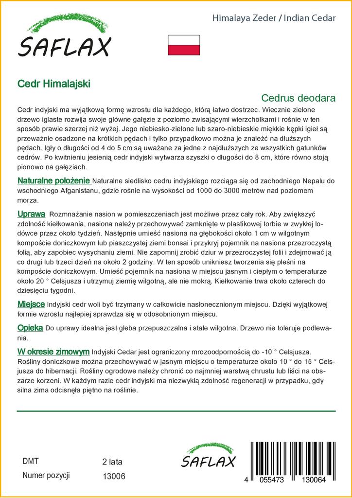SAFLAX Кедр индийский - 35 семян - Cedrus deodara