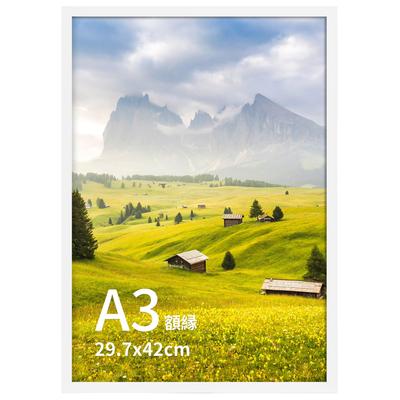 ПОДАРОЧНЫЙ САД Рамка для фотографий Фоторамка A3 Рамка для наград Легкий размер Настенный тип Белый Пейзаж Украшение для плаката 1 штука