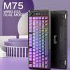 Беспроводная механическая игровая клавиатура FREEWOLF M75 2,4G / Двухрежимная 82 клавиши RGB Мультимедийная Anti-Ghosting ABS+PC Собственная форма