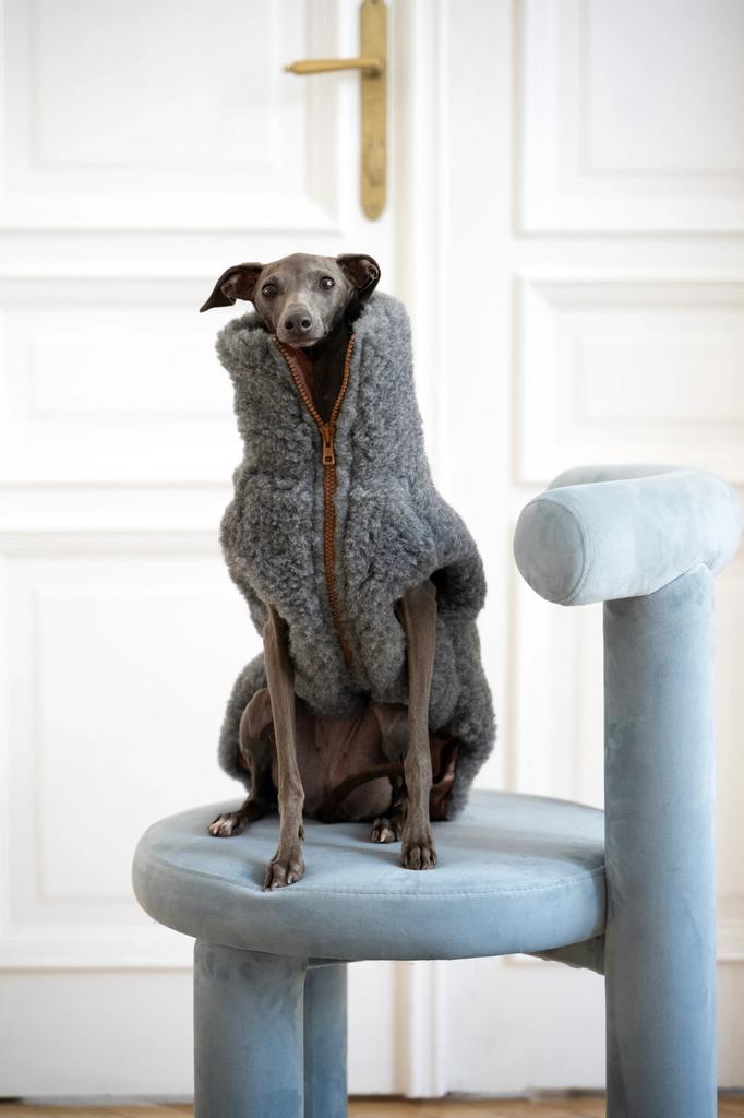 Woolen Dog Vest - Dark Gray 2