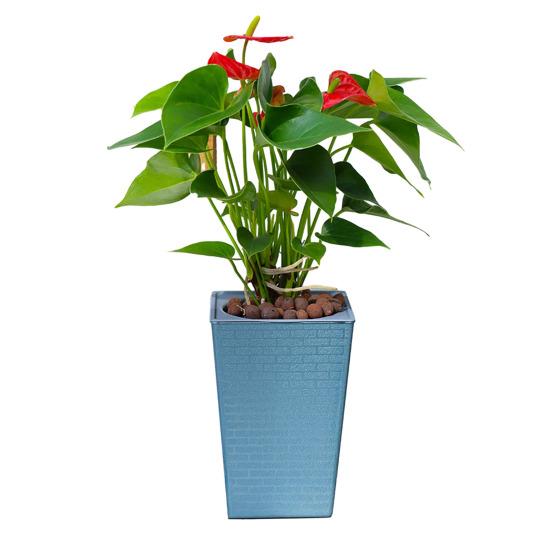 Самополивающийся цветочный горшок с дренажными отверстиями, автоматический полив, цветочный горшок, кашпо для хранения воды для комнатных и уличных растений