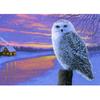 DIY Owl 5D Diamond Painting Animal Diamont Embroidery Mosaic Cross Stitch Full Round Drill Resin Home Decor Manual Gift