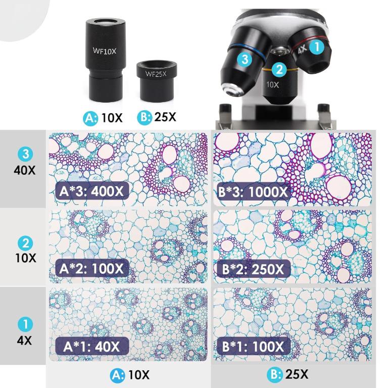Techrebal Biovision 2000X Biological Microscope
