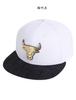 [NBA] CHI BULLS Assembled Decorative Snapback HYFALT N225AP633P