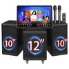 Songchuan International SW-3 Профессиональная аудиосистема для KTV Штепсель CN (адаптер в комплекте) (Китайская версия)